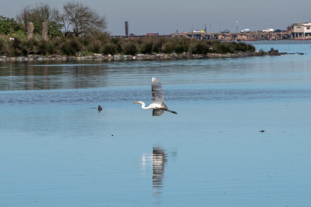 | Ambienta - Staging Encanto al arroyo, la recuperación del Pantanoso