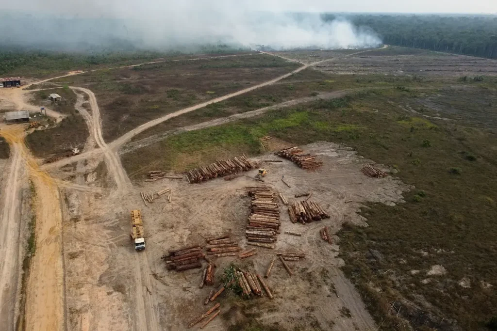 Operación de tala ilegal en el Amazonas evidenciando la pérdida de bosques en el mundo y la degradación forestal.