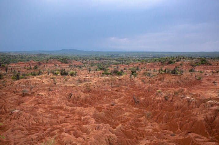 6619606e8d9c5_715_472 | Ambienta - Staging