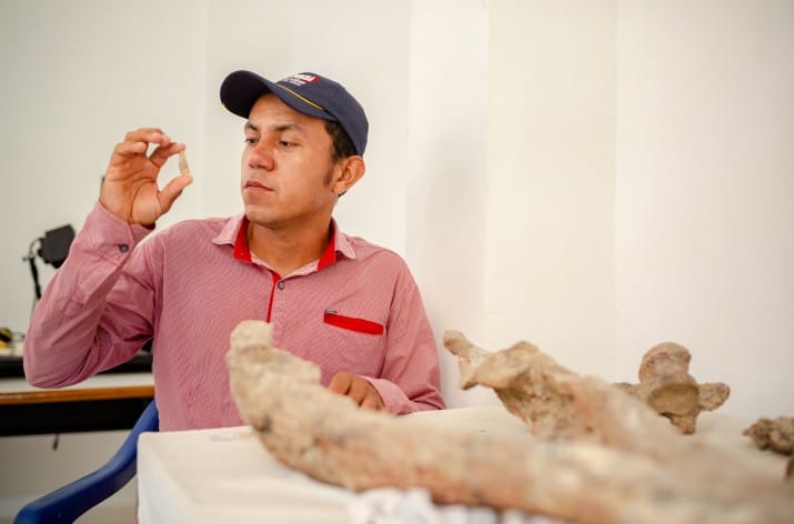 661961187e6c7_715_472 | Ambienta - Staging