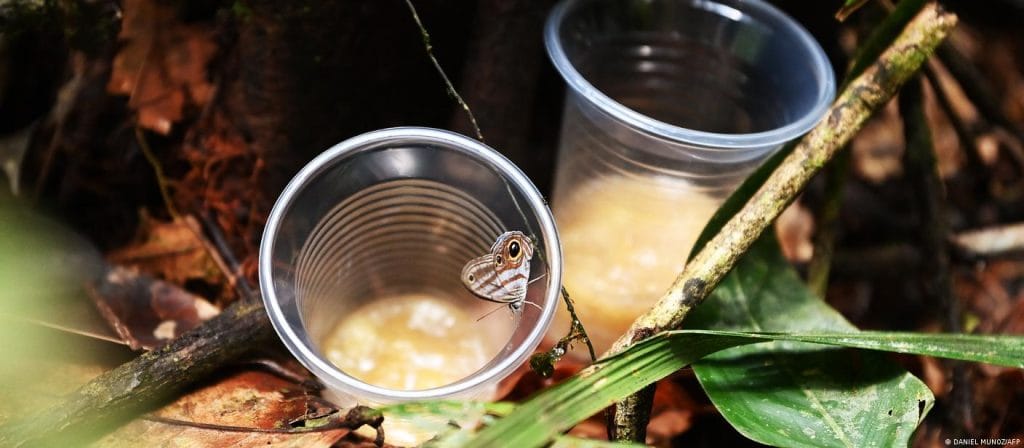 68905776_1005 | Ambienta - Staging