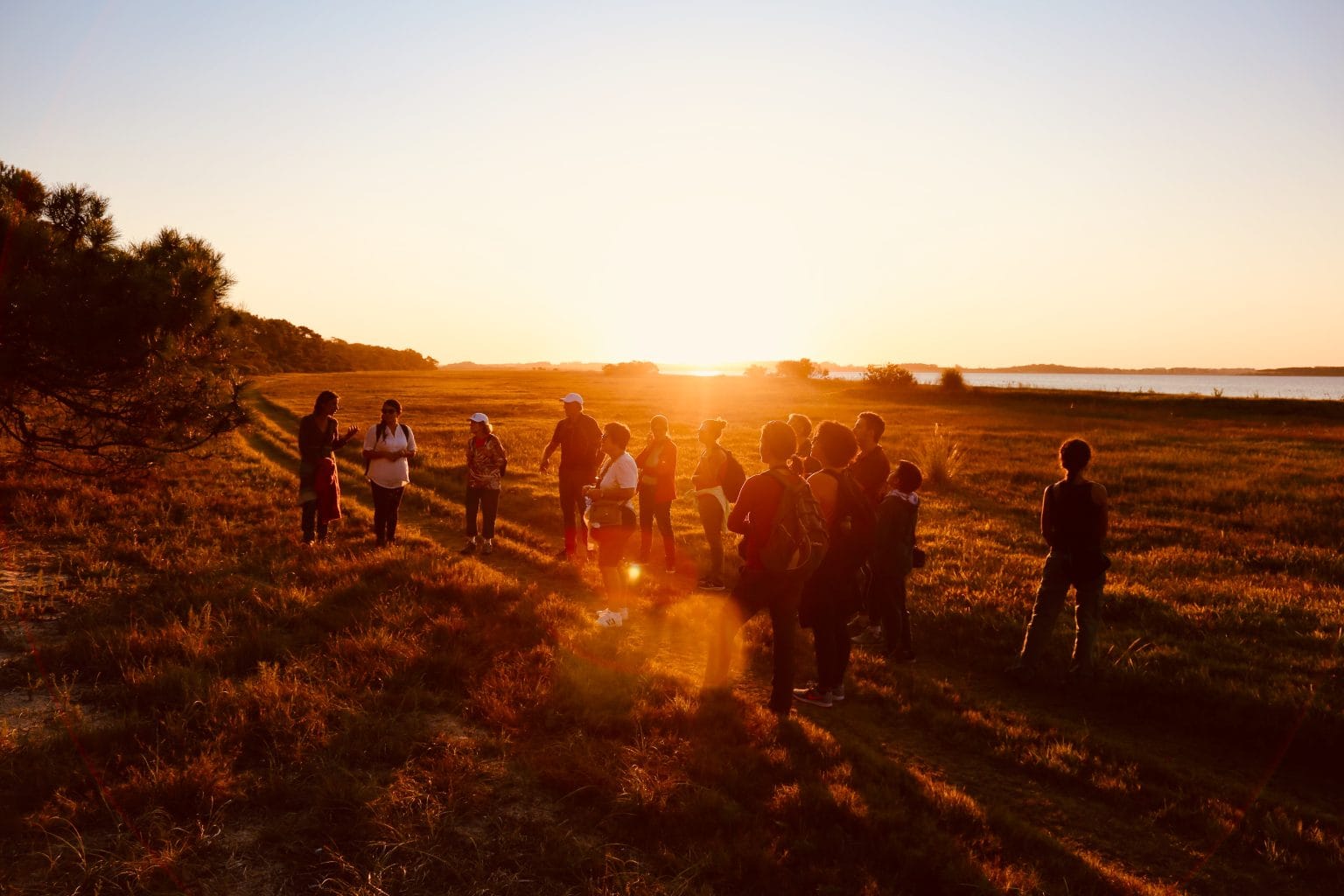 | Ambienta - Staging