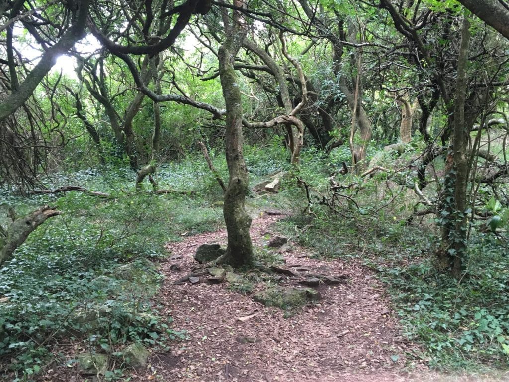 22464015Master | Ambienta - Staging