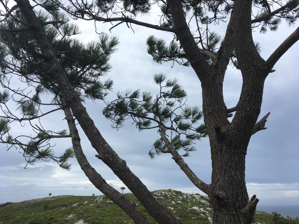 22464048Master | Ambienta - Staging