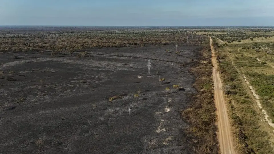 crisis-hidrica-pantanal-incendios-efe | Ambienta - Staging Paisaje degradado del humedal más grande del mundo debido a la falta de inundaciones y la crisis hídrica.