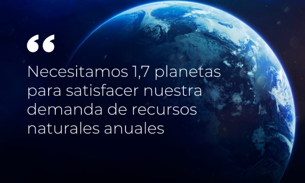 IMG-20230801-WA0027 | Ambienta - Staging