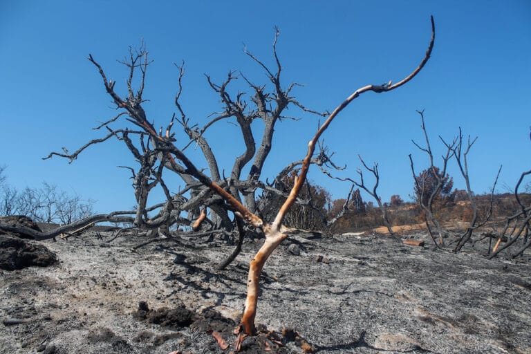 IMG_8318-768x512 | Ambienta - Staging