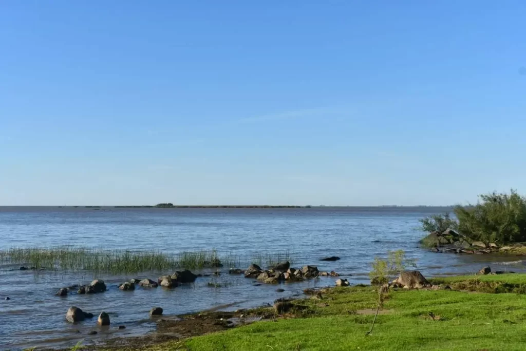 WhatsApp_Image_2024-02-02_at_11.19.06_AM_1200w | Ambienta - Staging