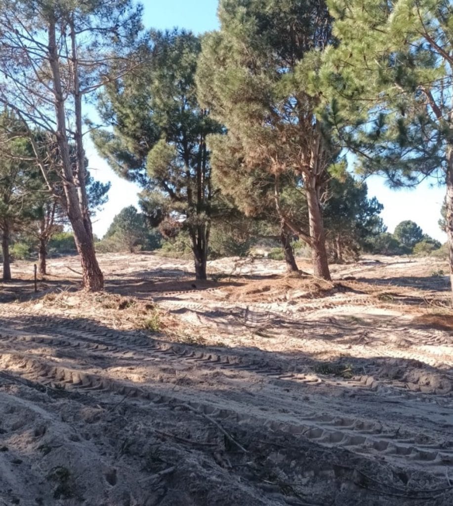 IMG_1110 | Ambienta - Staging