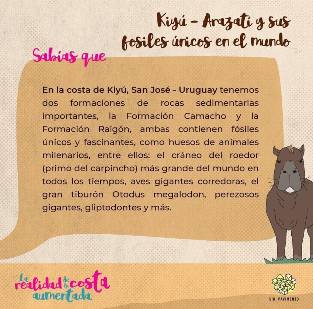 IMG_1309 | Ambienta - Staging