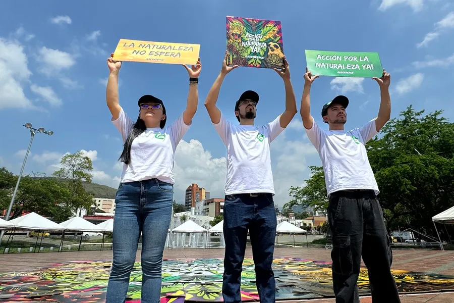 OBJ_20241024T184949S0006I_1_1_1_15_3_1 | Ambienta - Staging