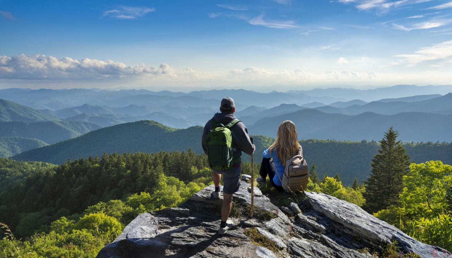 | Ambienta - Staging