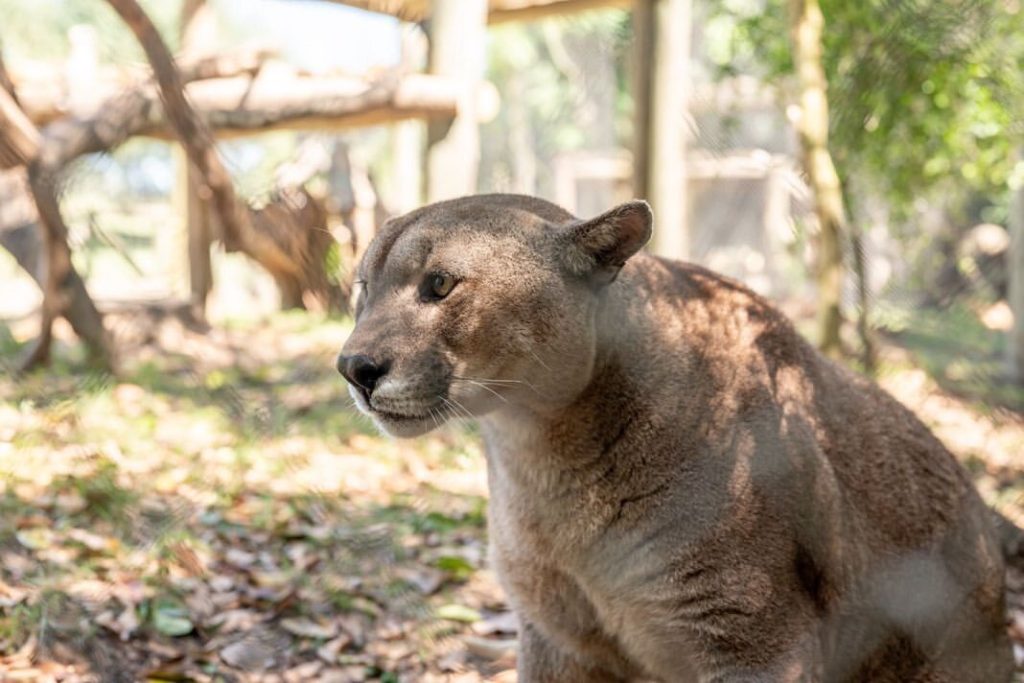 descarga-_1_ | Ambienta - Staging