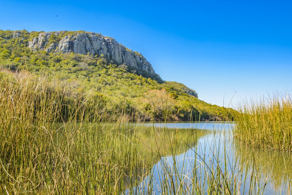 Arequita National Park, Lavalleja, Uruguay | Ambienta - Staging