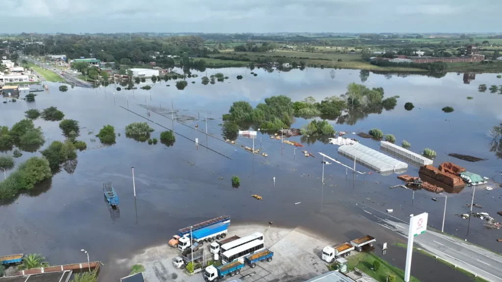 SINAE | Ambienta - Staging