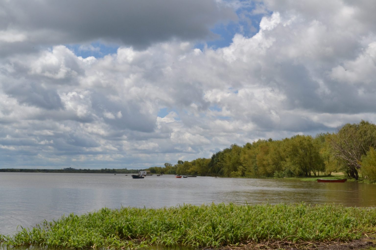 rio uruguay | Ambienta - Staging