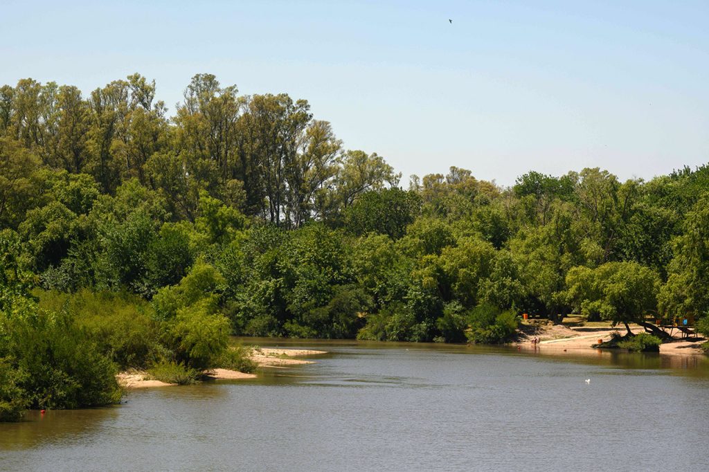 | Ambienta - Staging