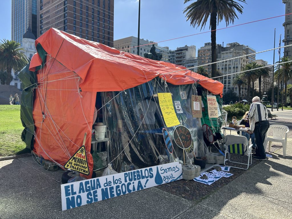 IMG_3056 | Ambienta - Staging