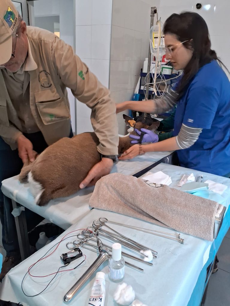 1000131863 | Ambienta - Staging