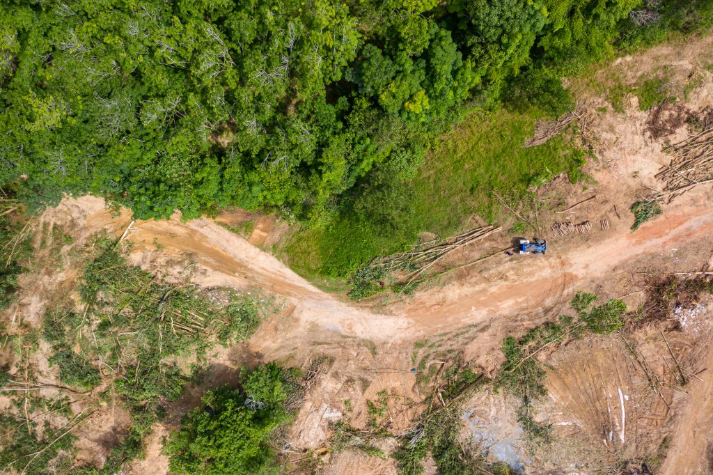 Top down aerial view of deforestation and logging in a tropical rainforest. Deforestation contributes in a large way to habitat loss and man-made climate change. | Ambienta - Staging
