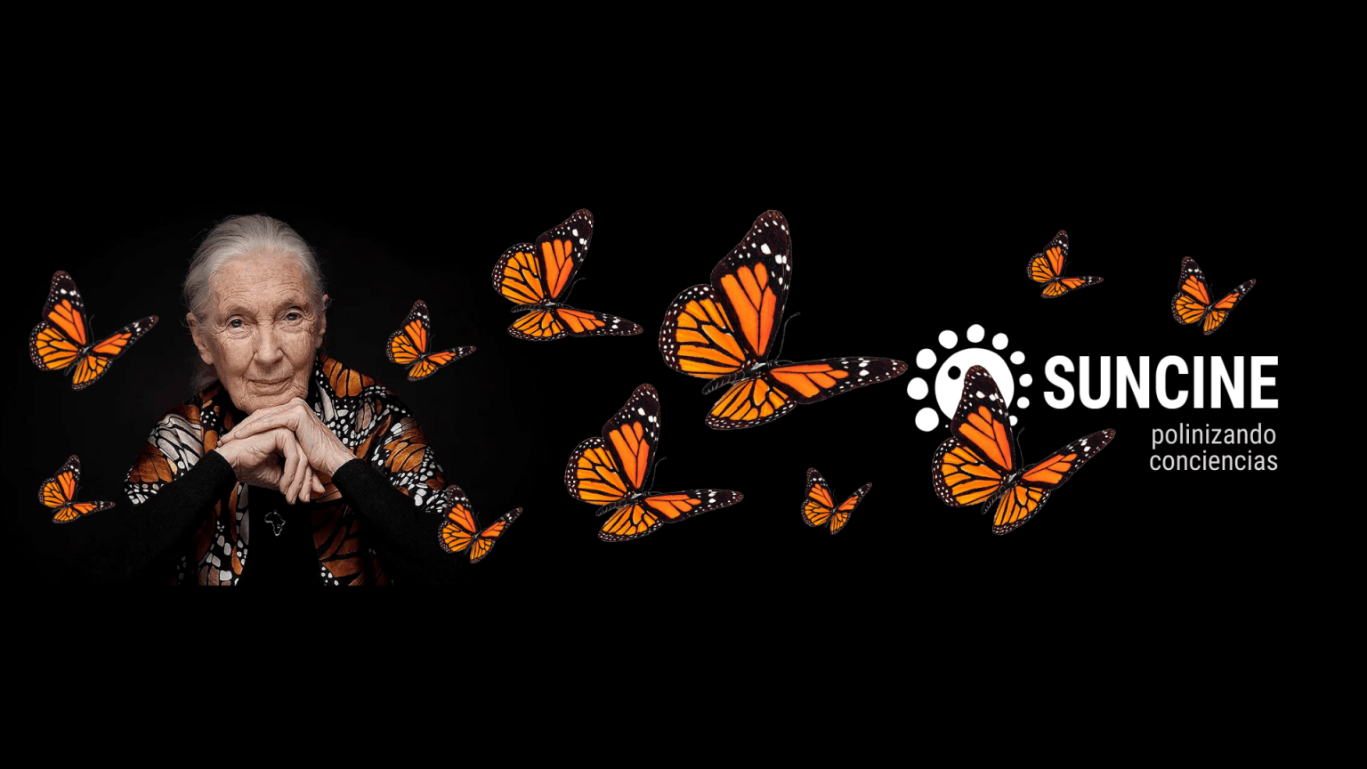 88b0a7b41a25aacb79217a050ad3ec13 | Ambienta - Staging