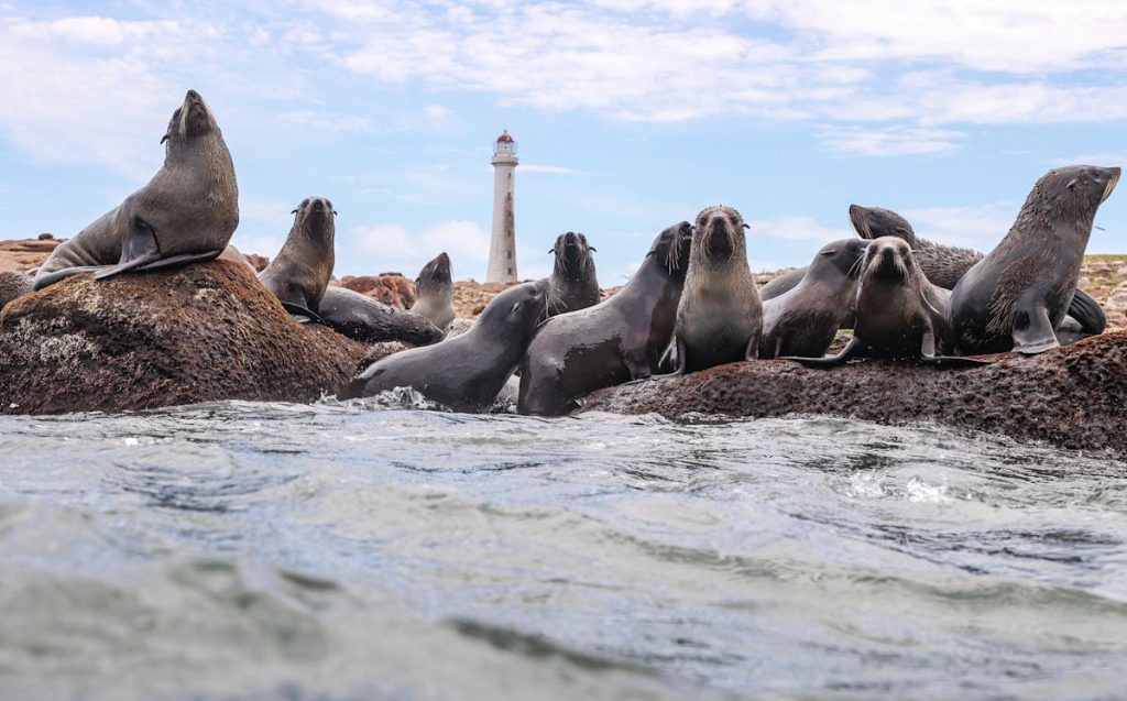 d2fab92b126bb551b7e22804a94009a1 | Ambienta - Staging