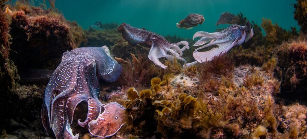 image1170x530cropped | Ambienta - Staging