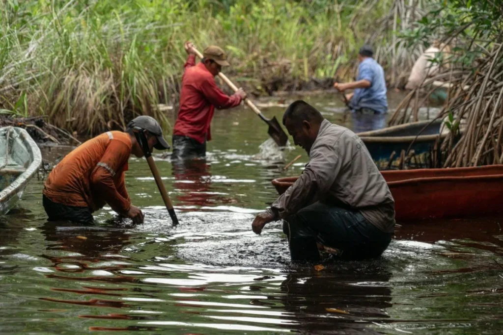 Limpieza-de-canales_Tembladeras_0-1200x800 | Ambienta - Staging