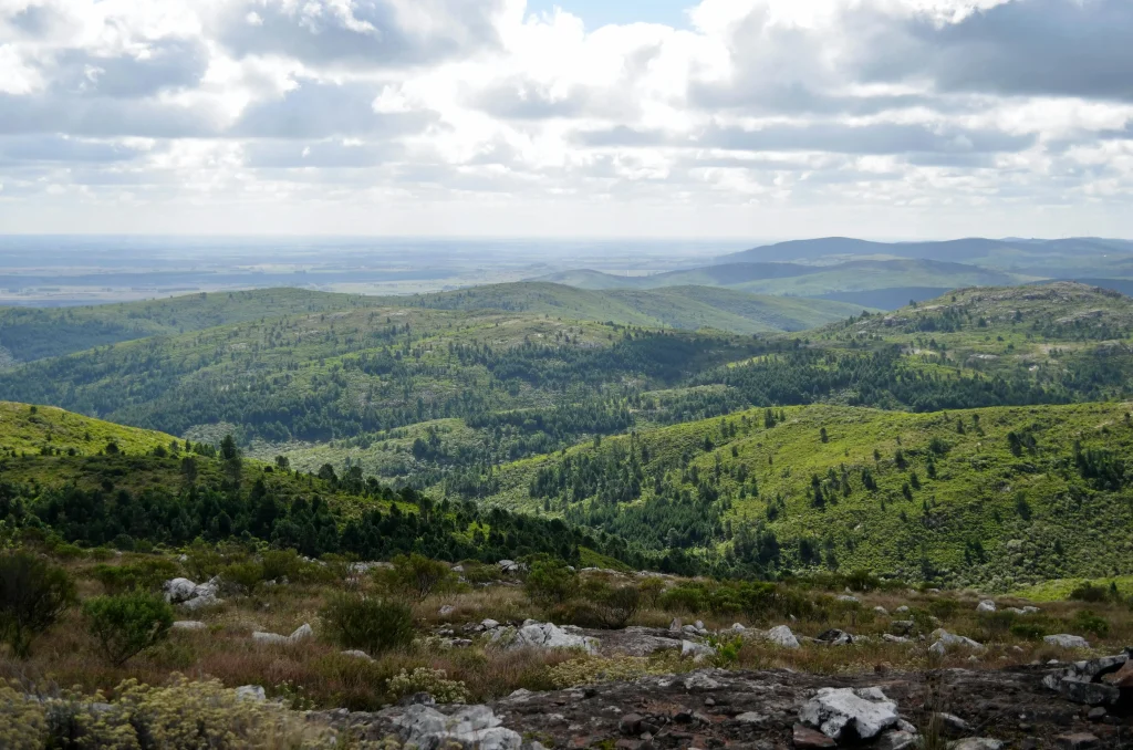 pexels-elisa-pellegrini-1520589154-31857644 | Ambienta - Staging