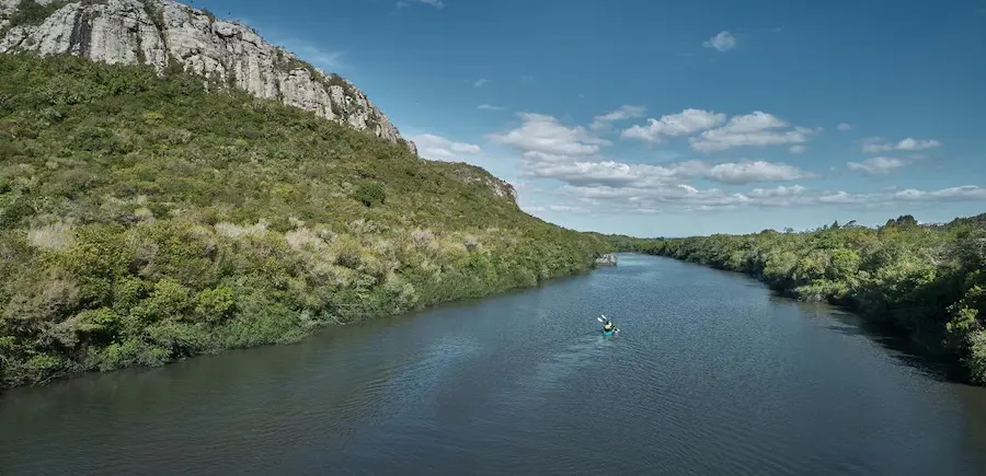 Ecosistema del río Santa Lucía, clave para la biodiversidad y la ecología en Uruguay.