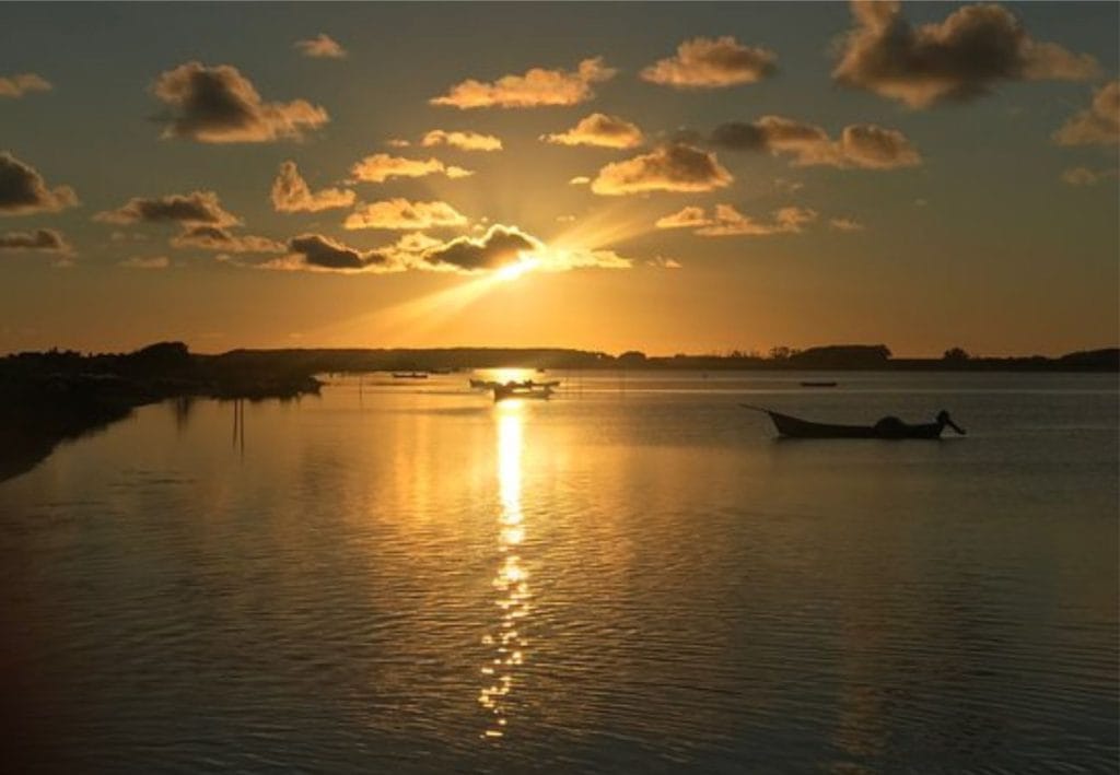 Diseno-sin-titulo-5 | Ambienta