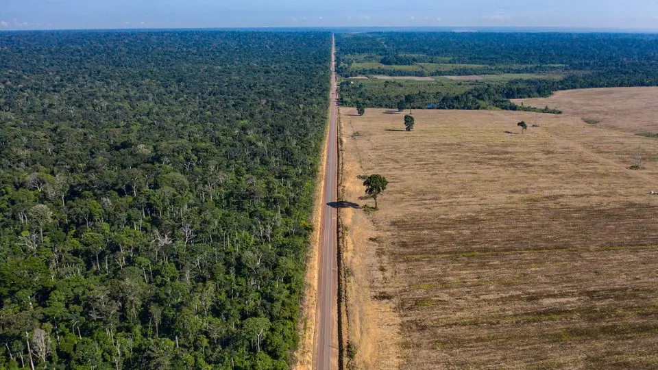 Contraste entre el Bosque Nacional Tapajós y un campo de soya en Pará, evidenciando la deforestación en Brasil por el avance agropecuario.