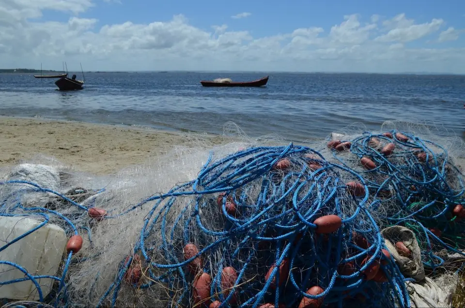 Laguna De Rocha El Santuario De Aves Que Lidera La Conservación En Uruguay Redes de pesca artesanal secándose en la arena con un bote al fondo en la Laguna de Rocha.