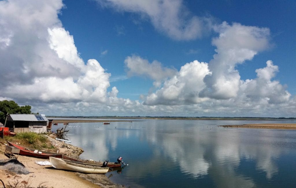 Vista panorámica de la Laguna José Ignacio en Uruguay, con su flora y fauna, resaltando su biodiversidad y su importancia ambiental.