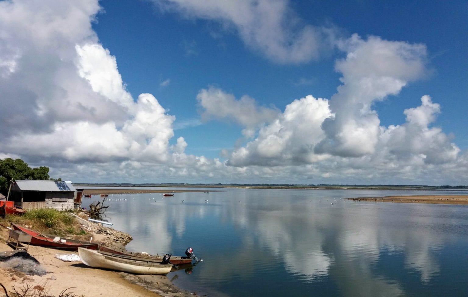 Vista panorámica de la Laguna José Ignacio en Uruguay, con su flora y fauna, resaltando su biodiversidad y su importancia ambiental.