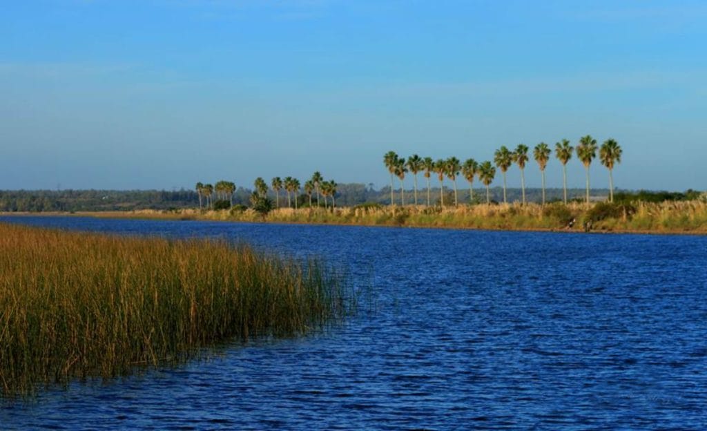Humedales de Santa Lucía, Uruguay.