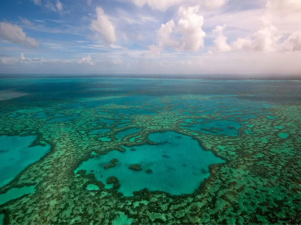 Banco de arrecifes de coral vulnerables al calentamiento global.