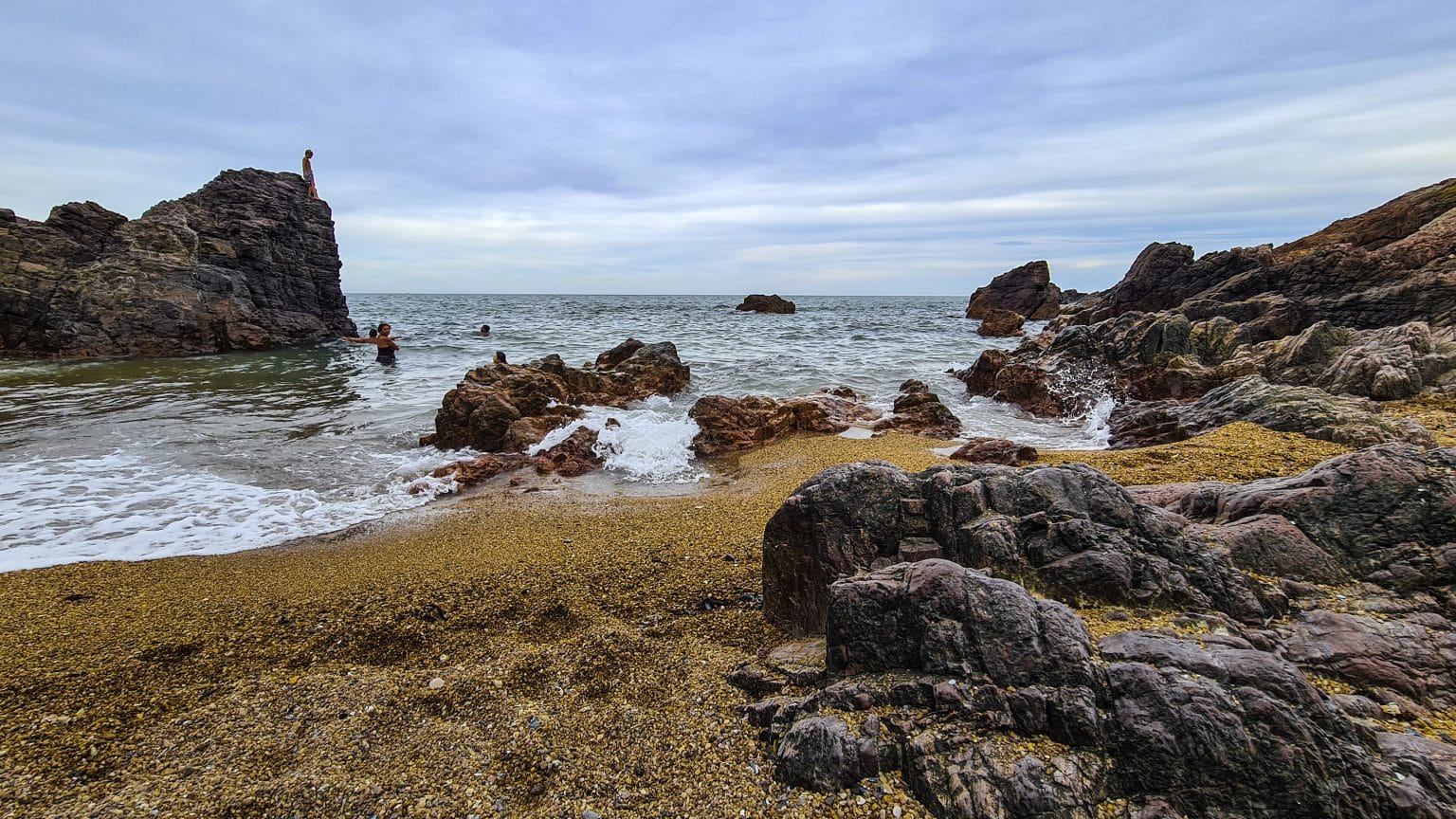 Organizan Actividad Con Científicos Que Aportarán Datos Para La Protección De Punta Ballena