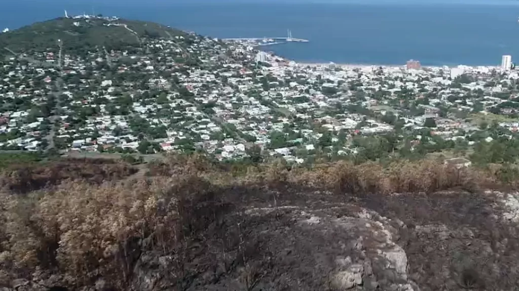 a-un-mes-del-incendio-el-cerro-del-toro-uno-los-mas-grandes-del-verano-2023 | Ambienta