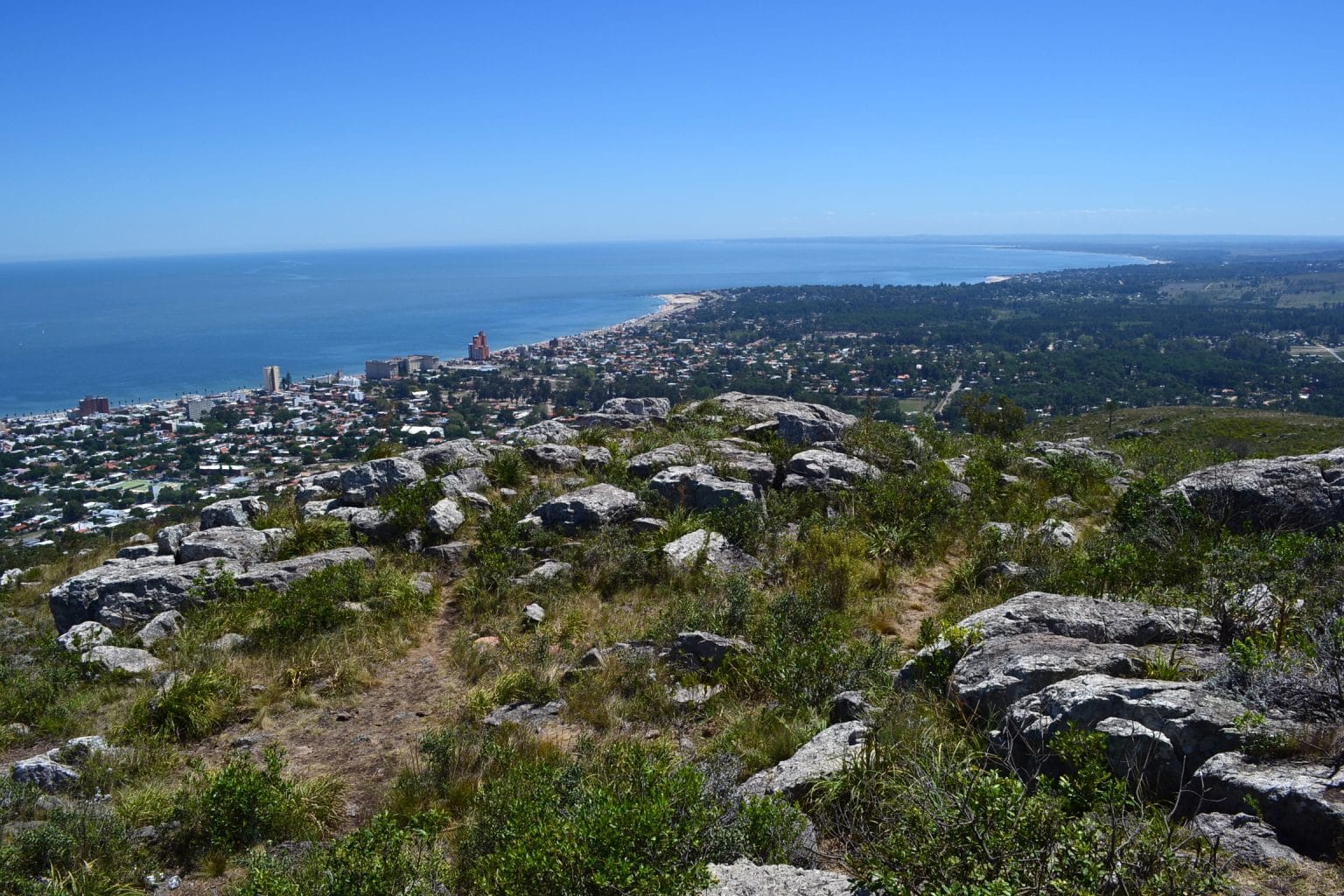Denuncian Tala Indiscriminada En Cerro Del Toro