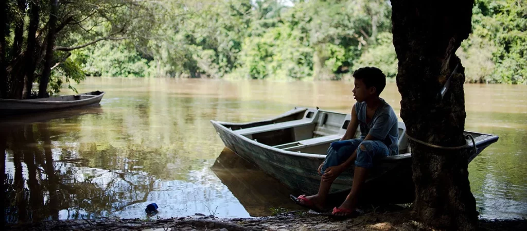 hero_blog_-_amazonia_2_marcelo_camargo_-_agencia_brasil-852 | Ambienta