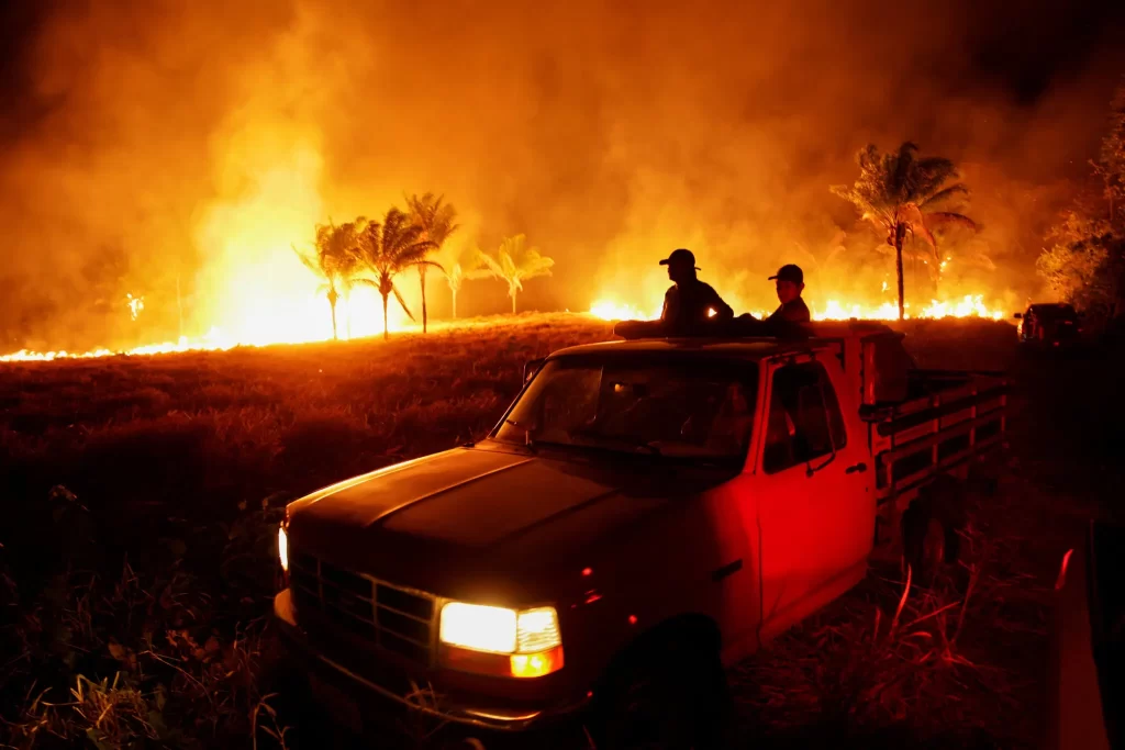 00amazon-fires-01-ltqk-superJumbo | Ambienta