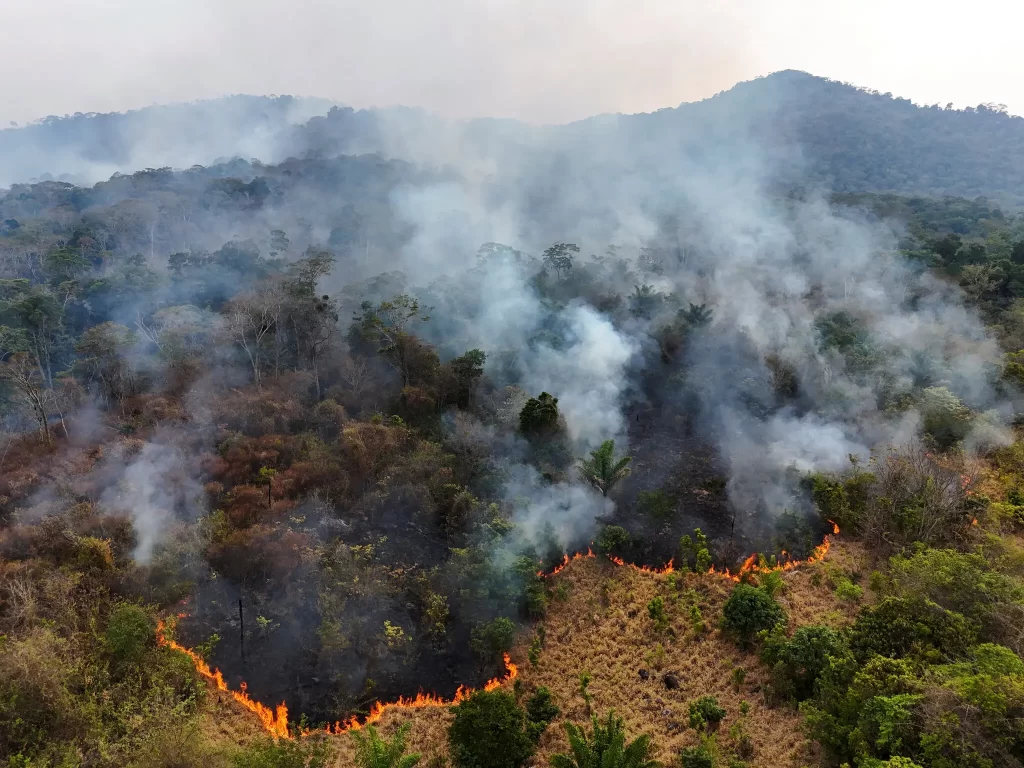 00amazon-fires-02-gtvp-superJumbo | Ambienta