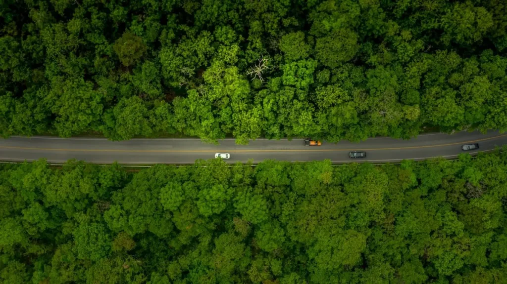 bosque-tropical-absorcion-metano | Ambienta Vista aérea de un bosque tropical donde los árboles absorben metano según estudios recientes.