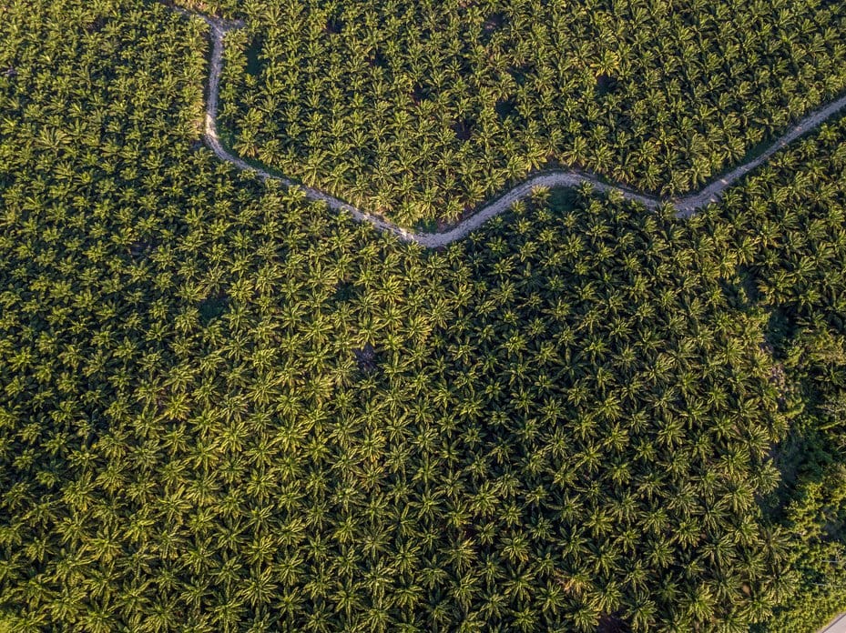 GettyImages-1393936996.width-929 | Ambienta