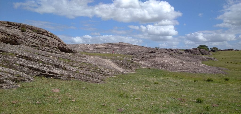 2-Matías Soto | Ambienta