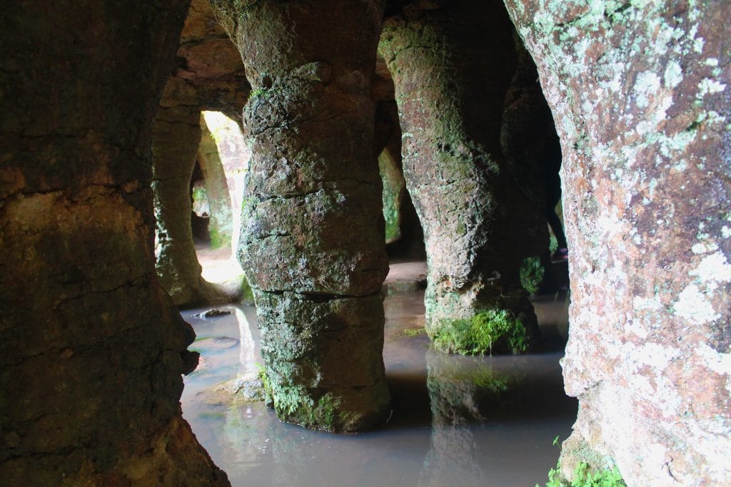 3-Mauricio Faraone | Ambienta