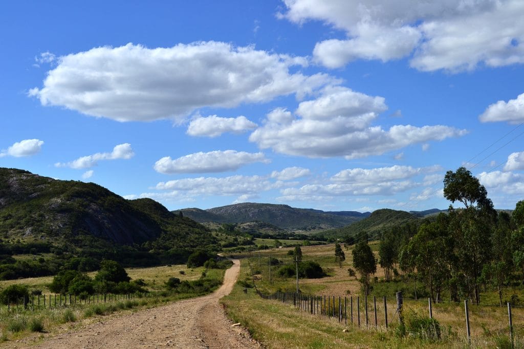 Uruguayan field | Ambienta