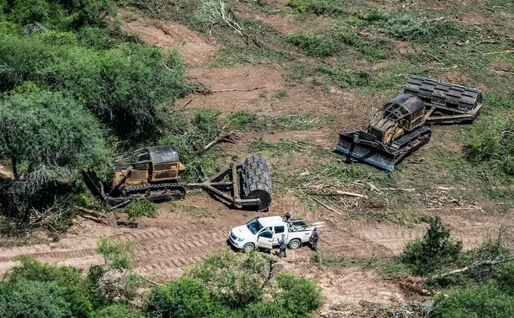 Deforestación en Centroamérica, una amenaza urgente para la protección de la naturaleza por la reconversión de tierras.