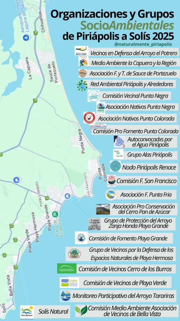 PHOTO-2025-01-22-15-42-32 | Ambienta